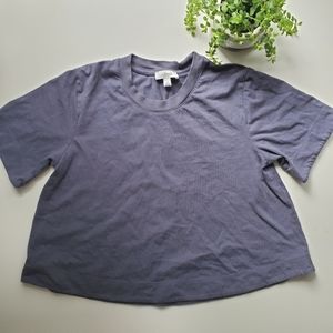 Wilfred Aritzia Weekend Crop Tee Blue